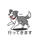 名前入りボーダーコリーブルー（個別スタンプ：24）