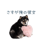 毎日使える実写彼氏しば犬【面白い】（個別スタンプ：20）