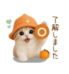 スコティッシュ猫 可愛いみかんハット 敬語（個別スタンプ：3）