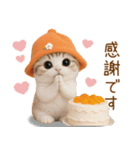 スコティッシュ猫 可愛いみかんハット 敬語（個別スタンプ：6）