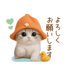 スコティッシュ猫 可愛いみかんハット 敬語（個別スタンプ：12）