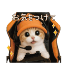 スコティッシュ猫 可愛いみかんハット 敬語（個別スタンプ：13）