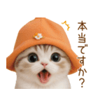 スコティッシュ猫 可愛いみかんハット 敬語（個別スタンプ：16）