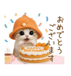 スコティッシュ猫 可愛いみかんハット 敬語（個別スタンプ：17）