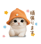 スコティッシュ猫 可愛いみかんハット 敬語（個別スタンプ：20）
