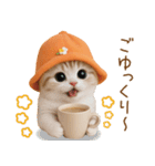 スコティッシュ猫 可愛いみかんハット 敬語（個別スタンプ：23）