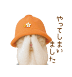 スコティッシュ猫 可愛いみかんハット 敬語（個別スタンプ：24）