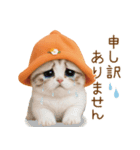 スコティッシュ猫 可愛いみかんハット 敬語（個別スタンプ：25）