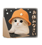 スコティッシュ猫 可愛いみかんハット 敬語（個別スタンプ：31）