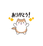 動く！元気まるまる豆柴✴︎返事スタンプ（個別スタンプ：5）
