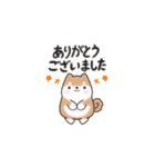 動く！元気まるまる豆柴✴︎返事スタンプ（個別スタンプ：8）