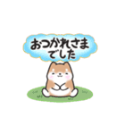 動く！元気まるまる豆柴✴︎返事スタンプ（個別スタンプ：12）