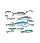 動く海の生き物（個別スタンプ：19）
