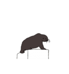 動く海の生き物（個別スタンプ：24）