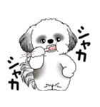 B＆Wシーズー犬 2025 「リアクション」（個別スタンプ：1）