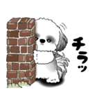 B＆Wシーズー犬 2025 「リアクション」（個別スタンプ：2）