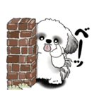 B＆Wシーズー犬 2025 「リアクション」（個別スタンプ：4）