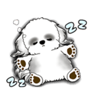 B＆Wシーズー犬 2025 「リアクション」（個別スタンプ：5）