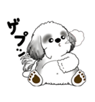 B＆Wシーズー犬 2025 「リアクション」（個別スタンプ：7）