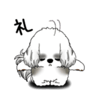 B＆Wシーズー犬 2025 「リアクション」（個別スタンプ：10）