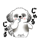 B＆Wシーズー犬 2025 「リアクション」（個別スタンプ：11）