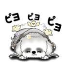 B＆Wシーズー犬 2025 「リアクション」（個別スタンプ：15）