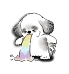 B＆Wシーズー犬 2025 「リアクション」（個別スタンプ：16）