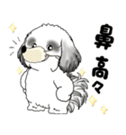 B＆Wシーズー犬 2025 「リアクション」（個別スタンプ：18）
