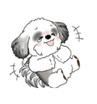 B＆Wシーズー犬 2025 「リアクション」（個別スタンプ：25）