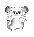 B＆Wシーズー犬 2025 「リアクション」（個別スタンプ：33）