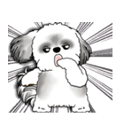 B＆Wシーズー犬 2025 「リアクション」（個別スタンプ：40）