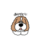 しゃべるキャバリア（個別スタンプ：4）