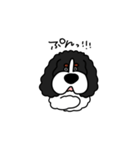 しゃべるキャバリア（個別スタンプ：9）