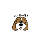 しゃべるキャバリア（個別スタンプ：10）