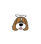 しゃべるキャバリア（個別スタンプ：12）