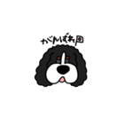 しゃべるキャバリア（個別スタンプ：14）