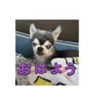 ニカ16歳（個別スタンプ：2）