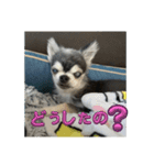 ニカ16歳（個別スタンプ：3）