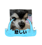 ニカ16歳（個別スタンプ：4）