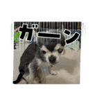 ニカ16歳（個別スタンプ：6）