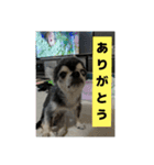 ニカ16歳（個別スタンプ：7）
