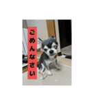 ニカ16歳（個別スタンプ：8）