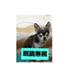ニカ16歳（個別スタンプ：9）