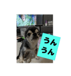 ニカ16歳（個別スタンプ：10）
