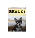 ニカ16歳（個別スタンプ：11）