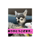 ニカ16歳（個別スタンプ：14）