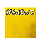 気持ちを伝えるシンプル金（個別スタンプ：11）