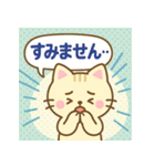 会話にぴったり♪毎日使えるネコ語録（個別スタンプ：6）