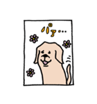 こち的ラブスタvol.1（個別スタンプ：4）