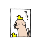 こち的ラブスタvol.1（個別スタンプ：5）